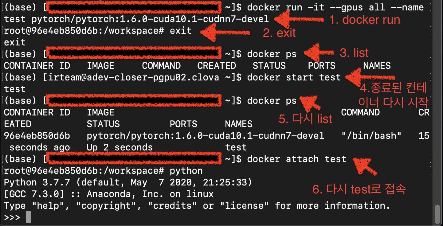 docker_run5