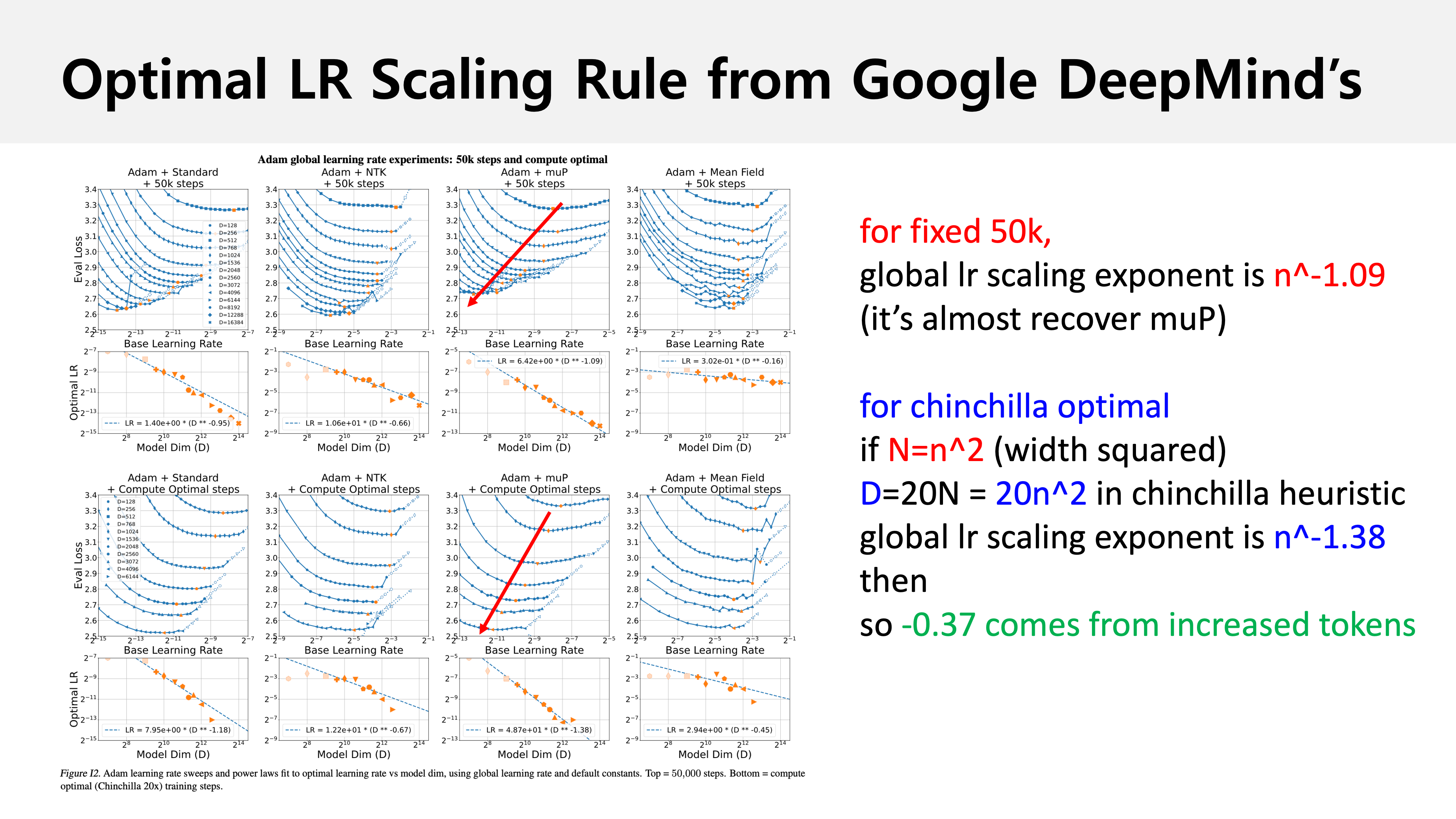 optimal_lr_scaling_summary_fig2