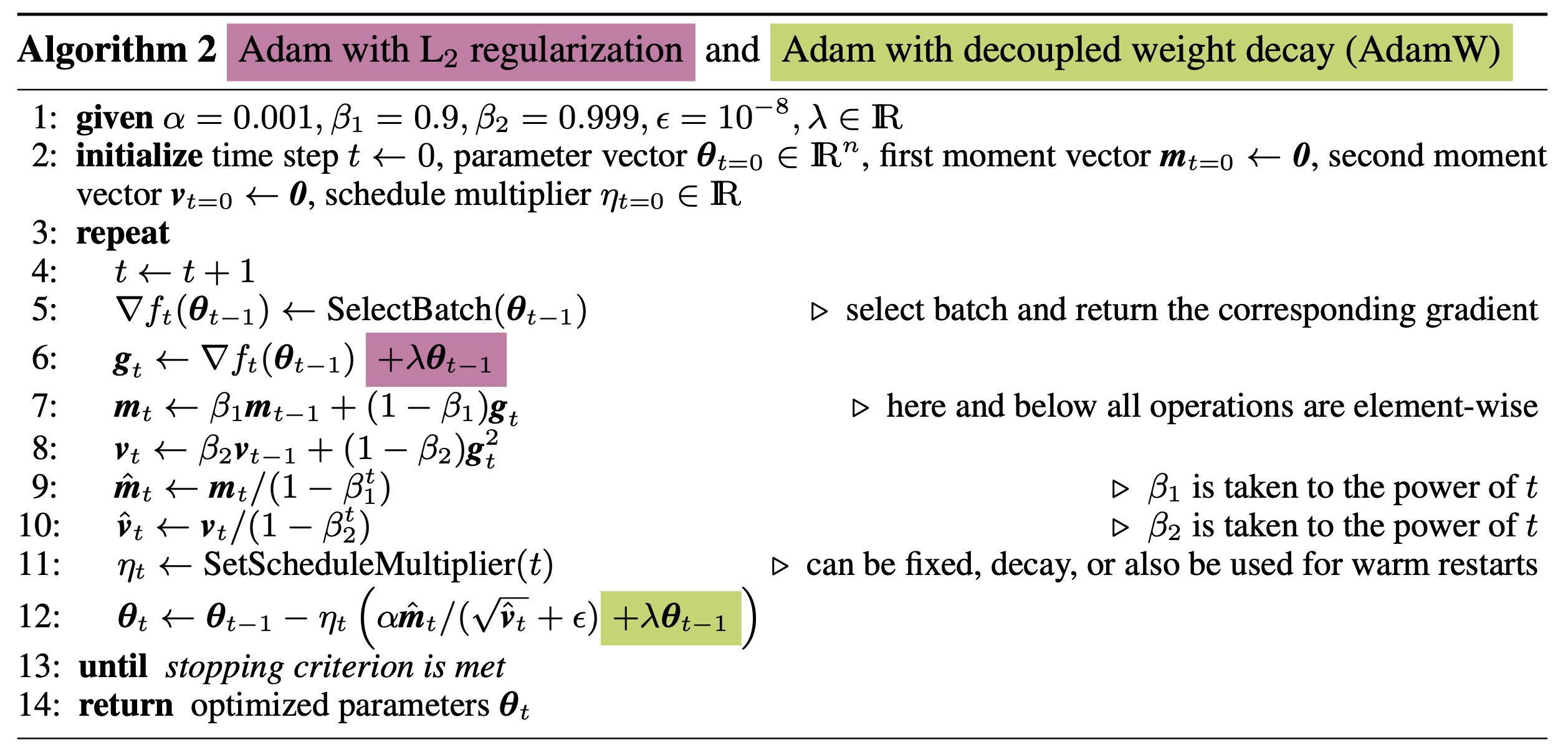 adamw_paper_algorithm2