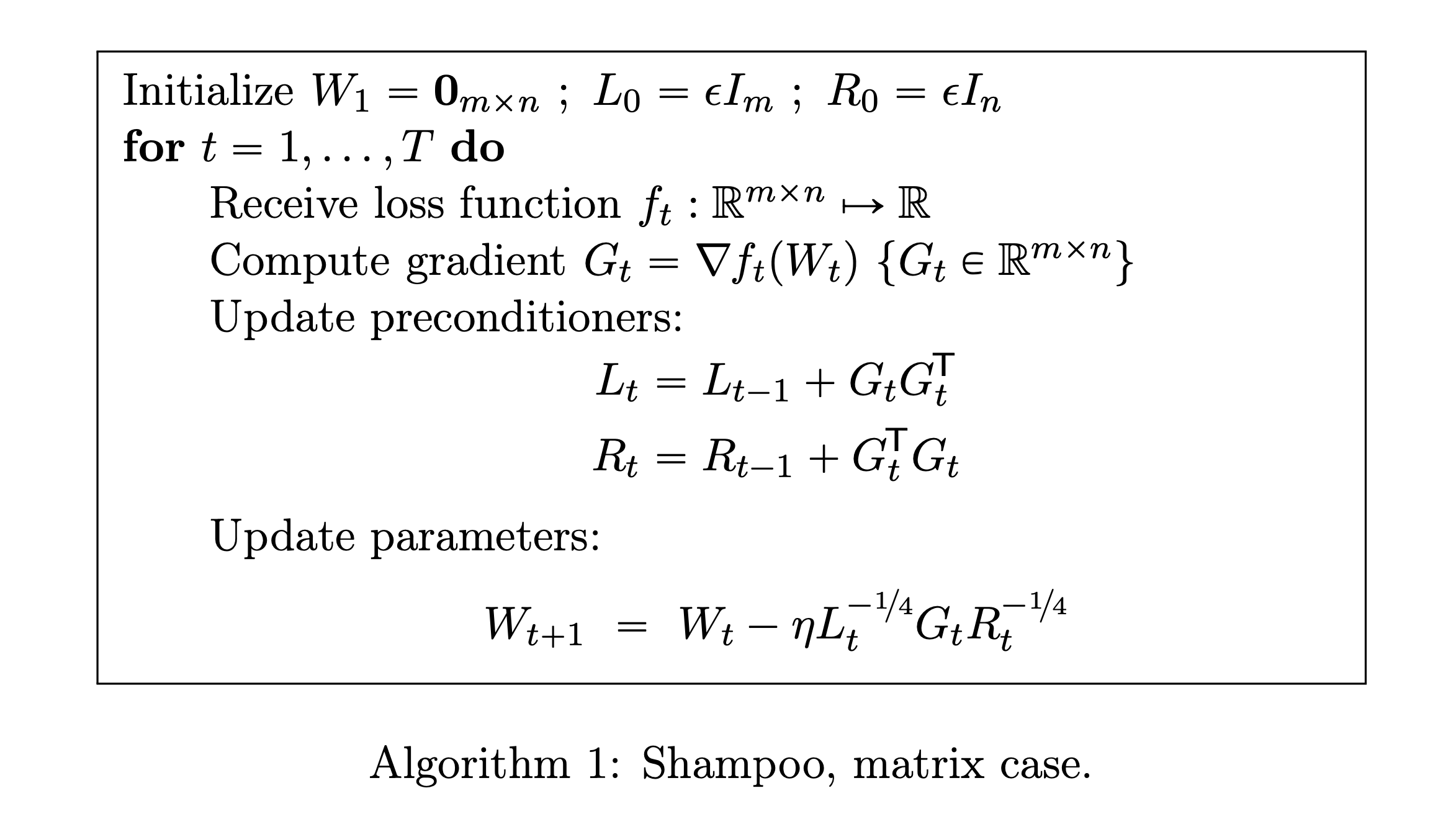 shampoo_paper_algorithm1