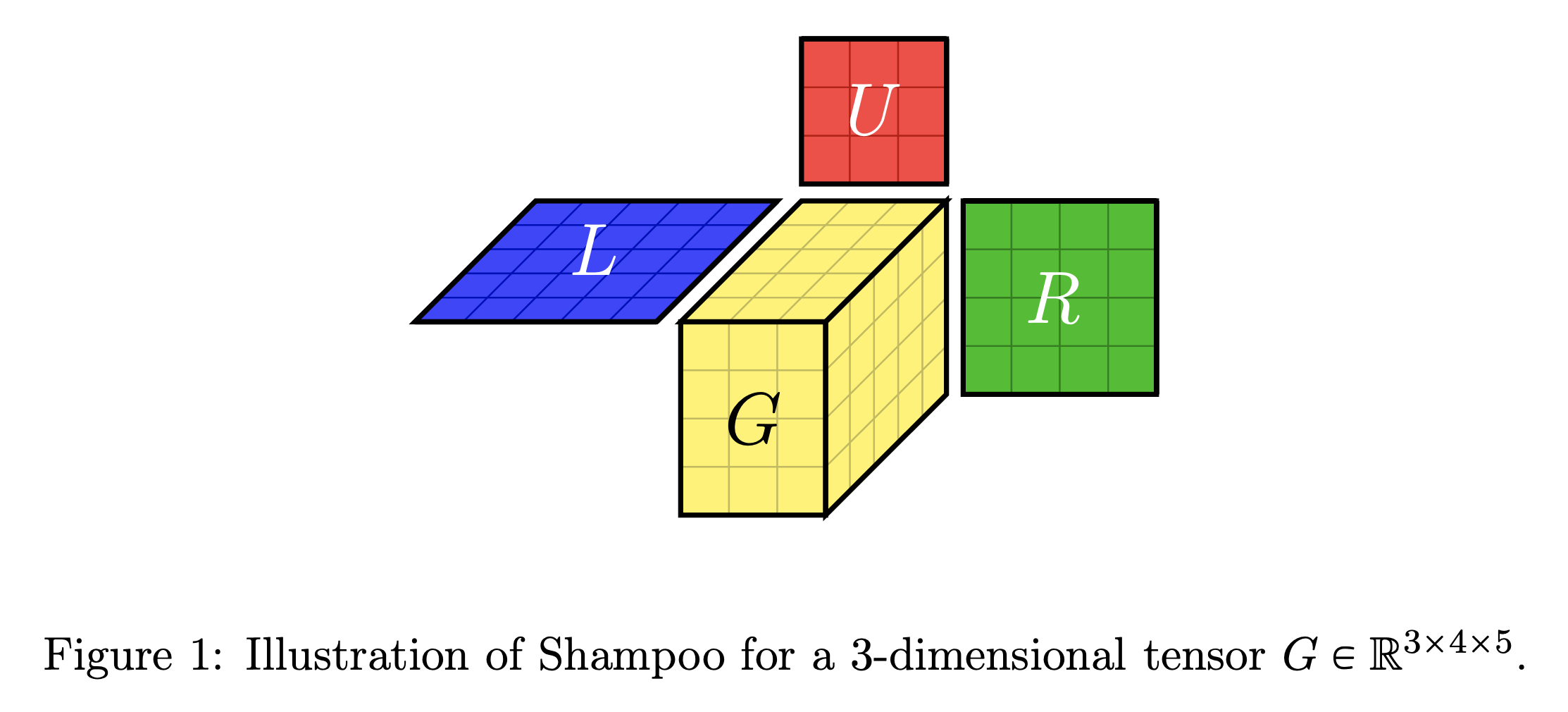 shampoo_paper_fig1