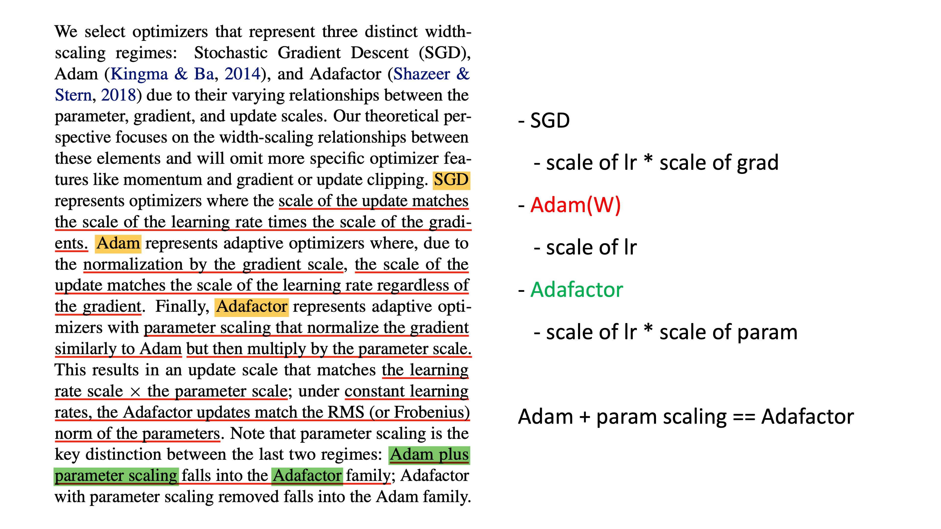 optimizer_scale_summary